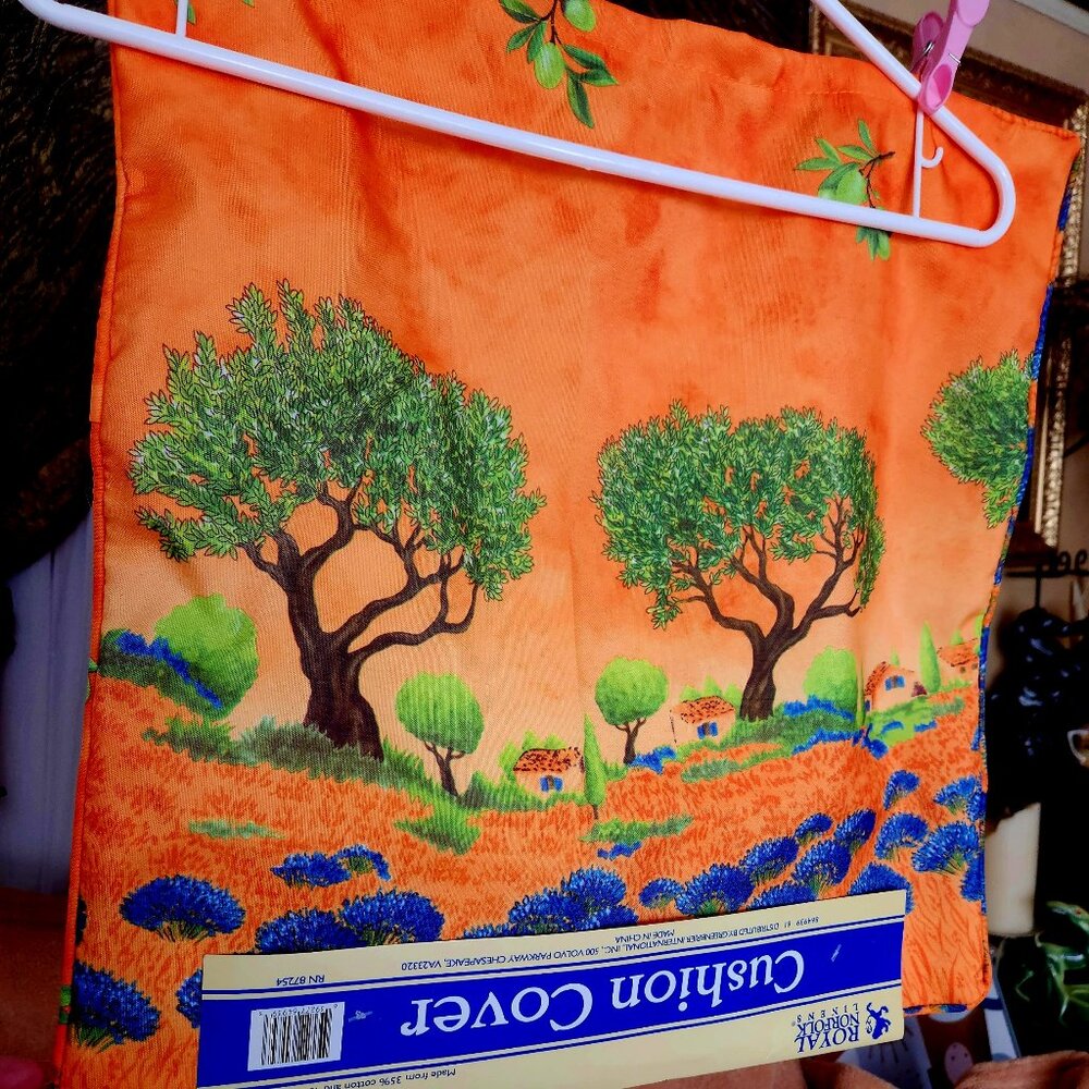 G20 B'ful cushion covers, way to dress up a room, 17x17 I have 2 - price is each